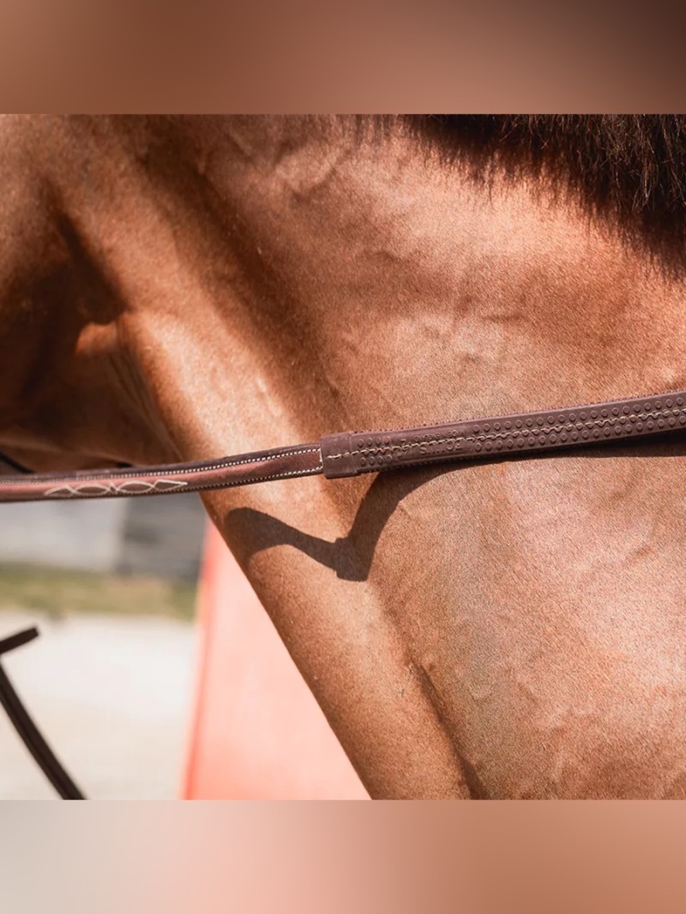 CWD Equestrian Raised rubber contact reins with fancy stitching